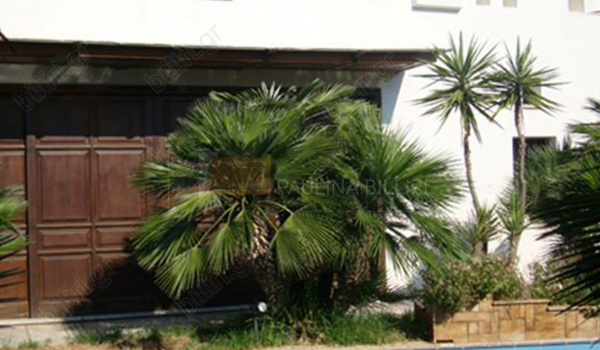 Eξωτερική όψη - Outdoor view